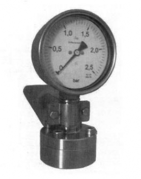 Differential pressure gauge DIPNGL 100-2