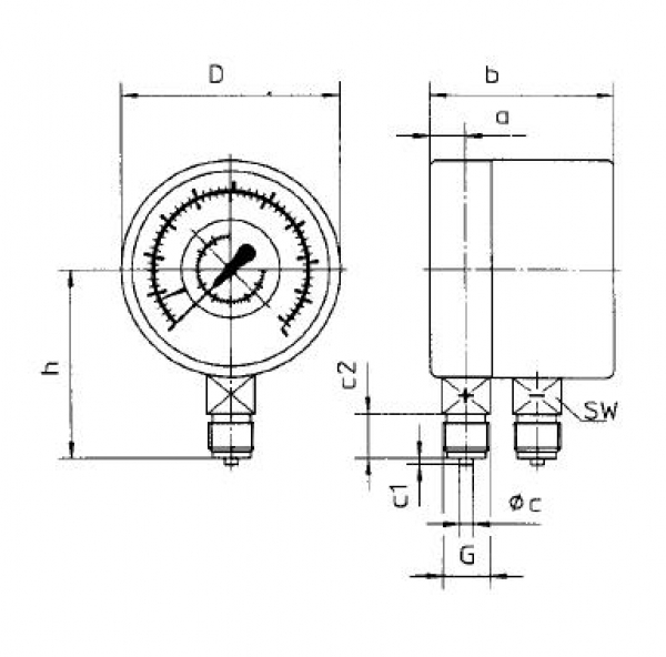 Differential pressure gauge D100-2