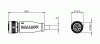 Balluff Connector BCC M415-0000-1A-004-PX0334-050